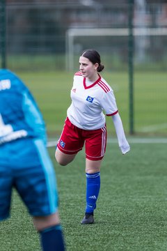 Bild 90 - wBJ HSV2 - Harburger TB : Ergebnis: 0:5